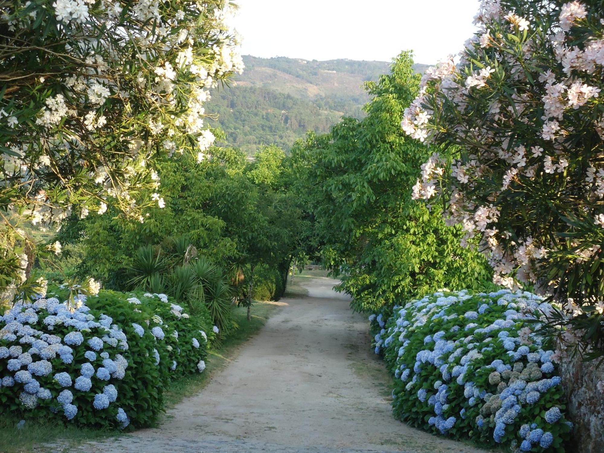 Quinta De Luou Villa Santa Cruz do Lima Eksteriør bilde